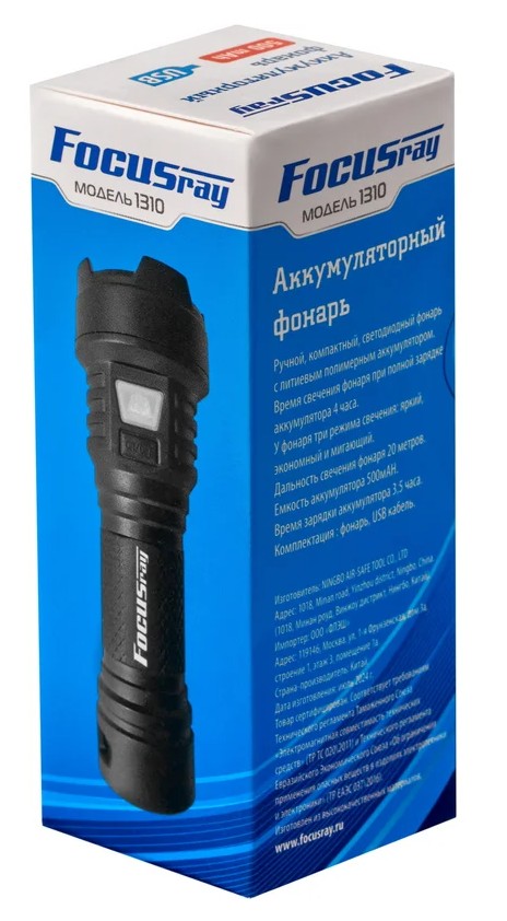 FOCUSray 1310_2